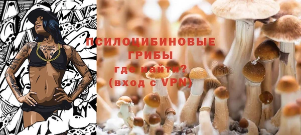 прущая мука Алзамай