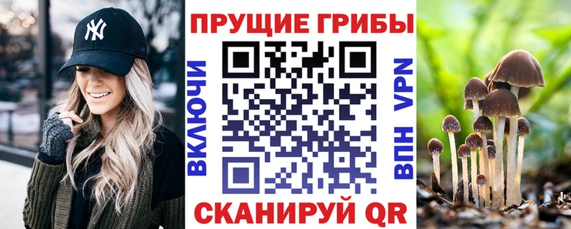ОМГ ОМГ сайт  darknet состав  Псилоцибиновые грибы прущие грибы  что такое   Палласовка 